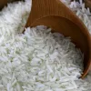 IlSaloneDiMilano Ingrédient Extrait de riz