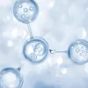 IlSaloneDiMilano Ingrédient Probiotique