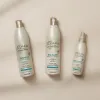 Produits Groupage Detox Line