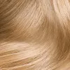 8.3 Blond clair doré